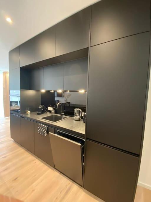Atelierhaus Zentrum,Ruhig,100 Meter Vom Rathausplatz Ингольштадт Экстерьер фото